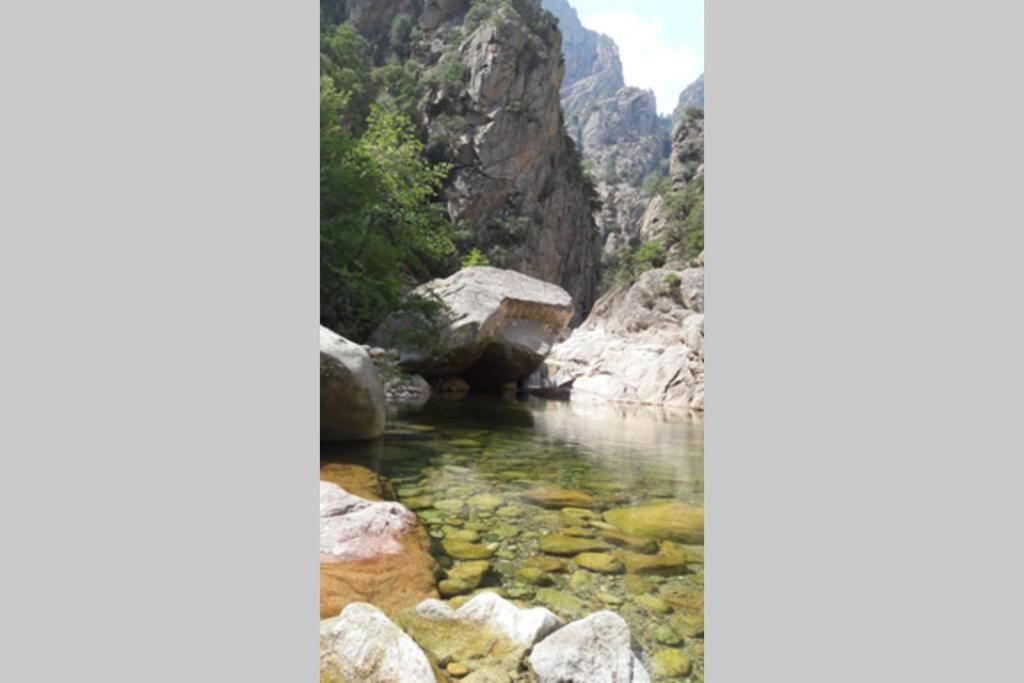 Appartement Les Pieds Dans L'Eau 300 M Plage - 2 Piscines Linguizzetta Exterior foto